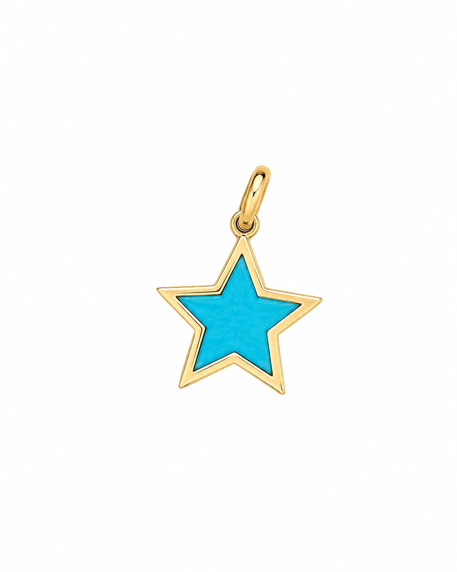 CAMI Gold Turquoise Charm