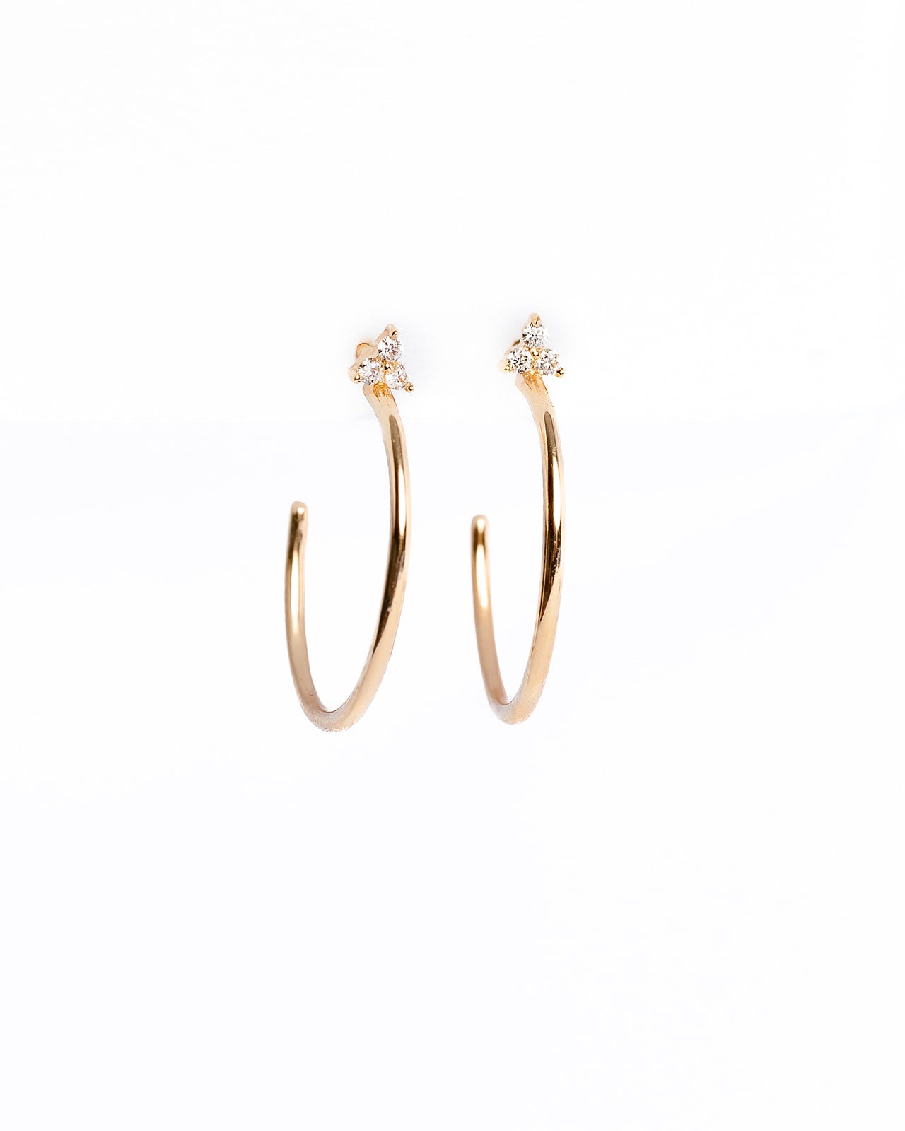 BRI Diamond Earrings